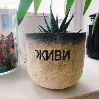 Керамический горшок Живи