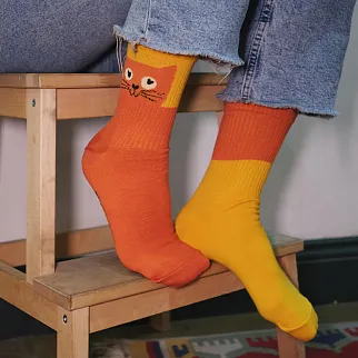 Носки Friend Function Котячьи 40-46