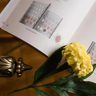 Книга Дом Мельникова