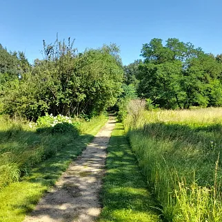 Образовательная прогулка "Тимирязевская академия и дендросад имени Р.И. Шредера", Москва 22 сентября