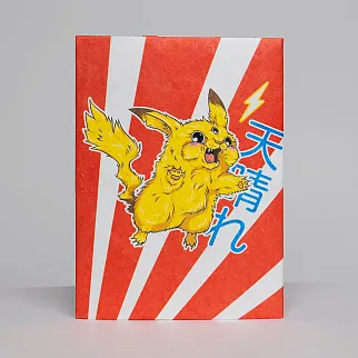 Обложка для паспорта из тайвека New Wallet New Pika