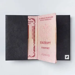 Обложка для паспорта из тайвека New Wallet New Skinny