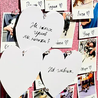 Валентинки фонда «Антон тут рядом»