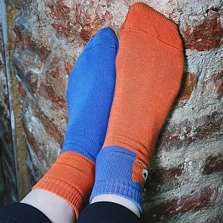 Носки Friend Function Котячьи синие 36-40 короткие