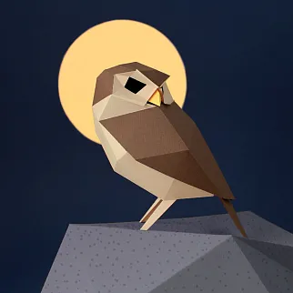 Бумажная модель для сборки Plego Art Athene noctua (сова)