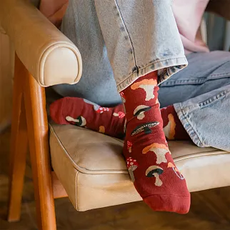 Носки Friend Function Грибные бордовые 40-46