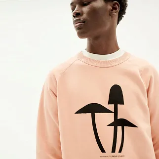 Свитшот Thinking Mu Funghi 3 Pink мужской