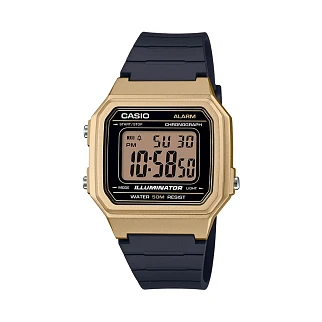 Часы Casio W-217HM-9A