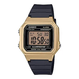 Часы Casio W-217HM-9AVEF