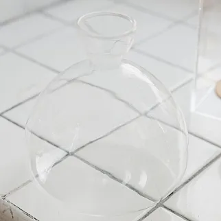 Ваза для проращивания авокадо