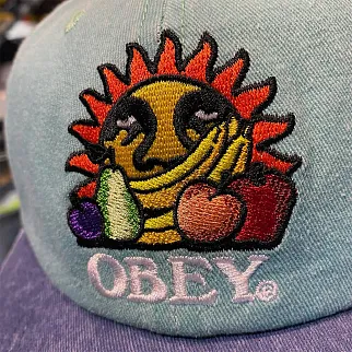 Кепка Obey Pigment Fruits 6 Panel Snapback Sea Spray Multi