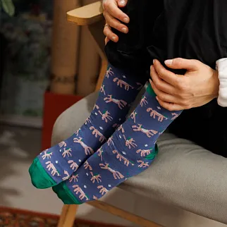 Носки Friend Function Голубые коняшки 36-40