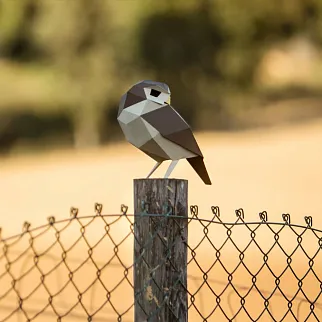 Бумажная модель для сборки Plego Art Athene noctua (сова)