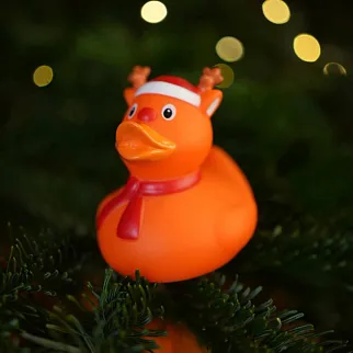 Утка Рождественский олень