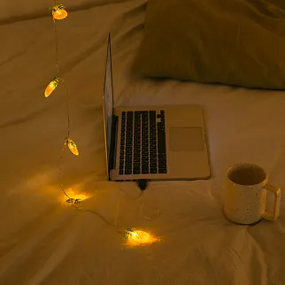 Гирлянда с ананасами (20 лампочек)