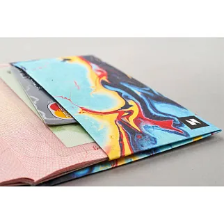 Обложка для паспорта из тайвека New Wallet New Woodstock