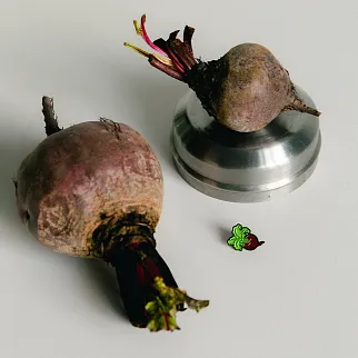 Значок Friend Function Свёкла