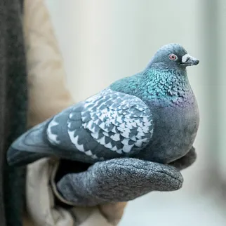Мягкий реалистичный голубь