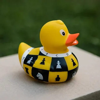 Утка Шахматист