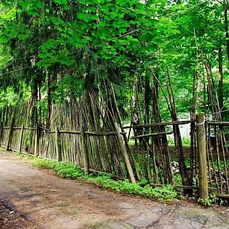 Экскурсия "Шестидесятники в Переделкине" 29 апреля