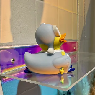 Утка Лыжница