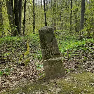 Экскурсия Секреты Битцевского леса, 12 июня