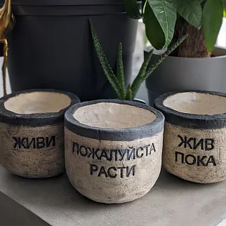 Керамический горшок Живи
