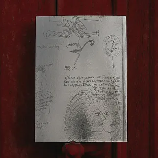 Книга Сеанс - Рената Литвинова