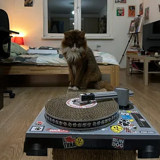 Когтеточка DJ CAT