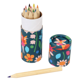 Набор цветных карандашей (12 штук)