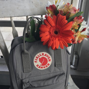 Рюкзак Fjallraven Kanken Super Grey (046)