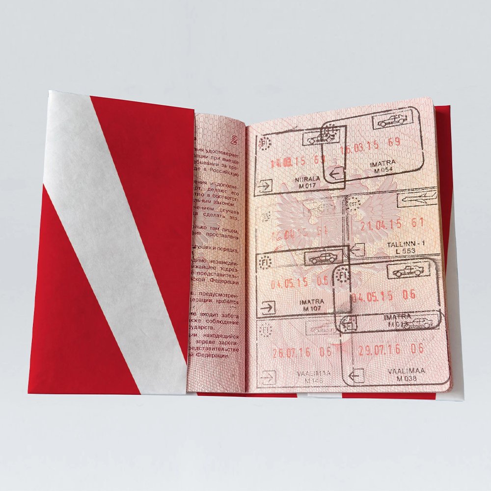 Обложка для паспорта из тайвека New Wallet New Pika - фото 3