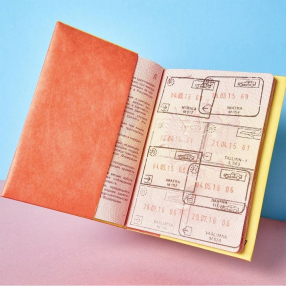 Обложка для паспорта из тайвека New Wallet Билет и самолёт