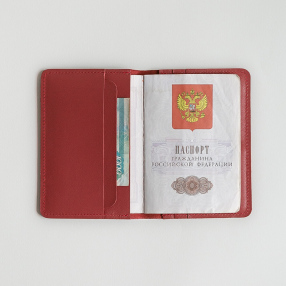 Обложка на паспорт Friend Function красная