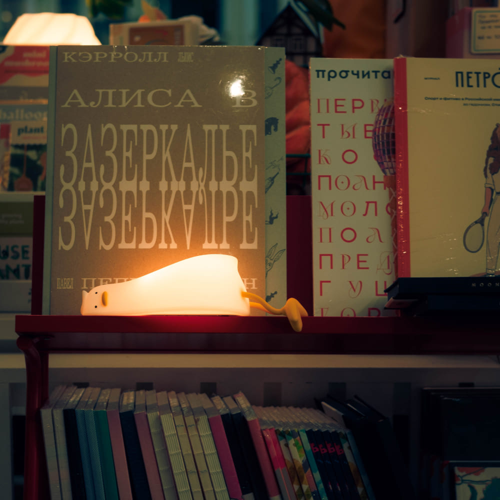 Уточка ночник - фото 3