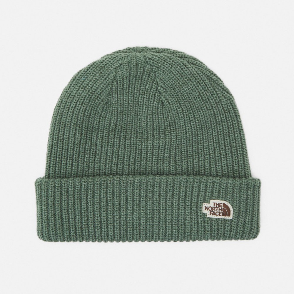 The North Face Salty Dog laurel wreath green 19938 Friend Function