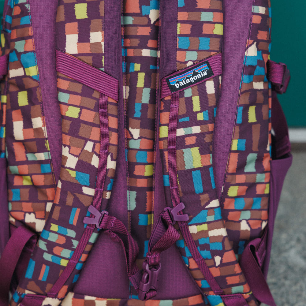Рюкзак Patagonia Refugio Day Pack Fitz Roy Patchwork 26L - фото 3