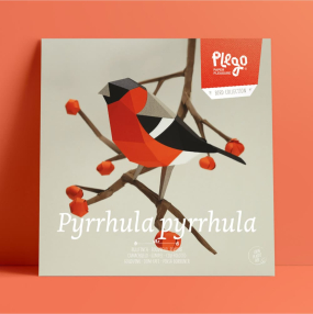 Бумажная модель для сборки Plego Art Pyrrhula pyrrhula (снегирь)