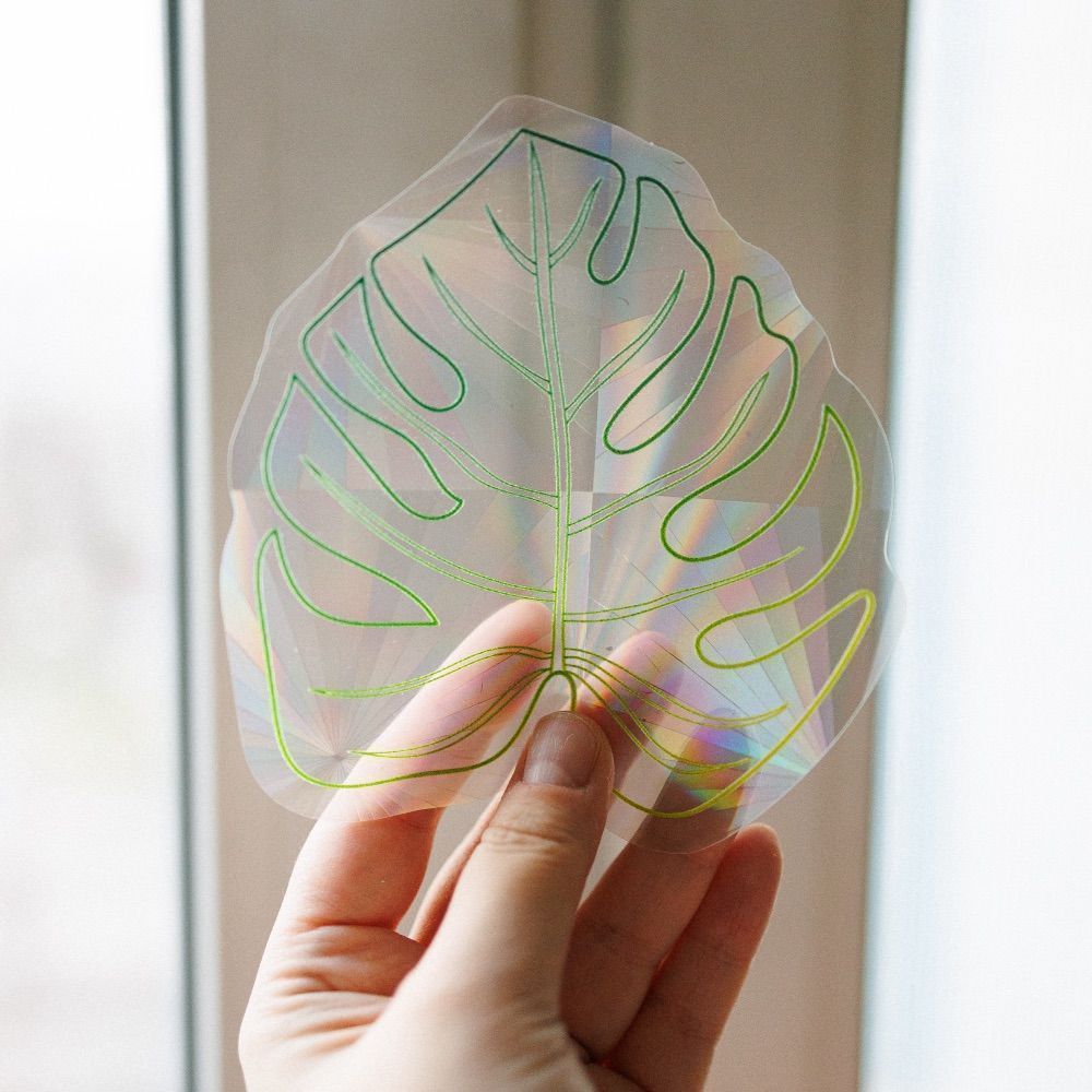 Стикер на окно - ловец радуги Friend Function (разные дизайны)