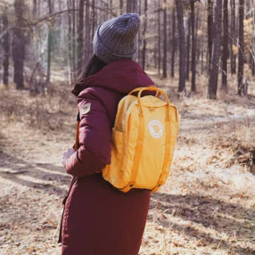 Рюкзак Fjallraven Tree-Kanken Maple Yellow (172)