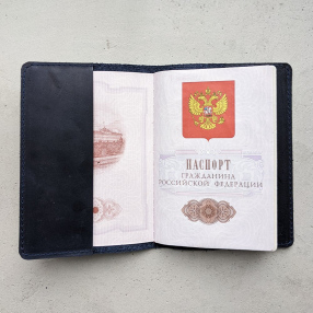Обложка для паспорта Любительница Абсента
