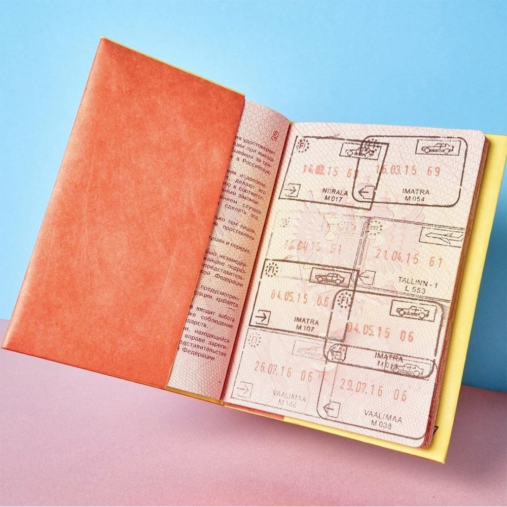 Обложка для паспорта из тайвека New Wallet Билет и самолёт - фото 2