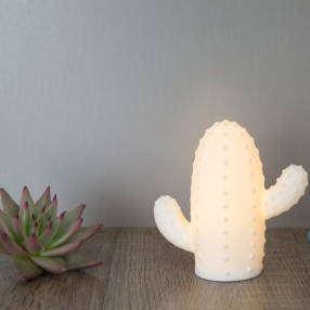 Светильник Kikkerland Cactus Light