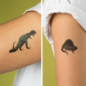 Временные татуировки с динозаврами REX