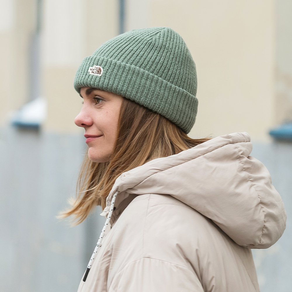 The North Face Salty Dog laurel wreath green 19938 Friend Function