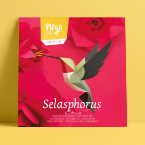 Бумажная модель для сборки Plego Art Selasphorus platycercus (колибри)