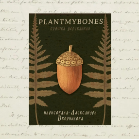 Деревянная брошка PlantMyBones Жёлудь