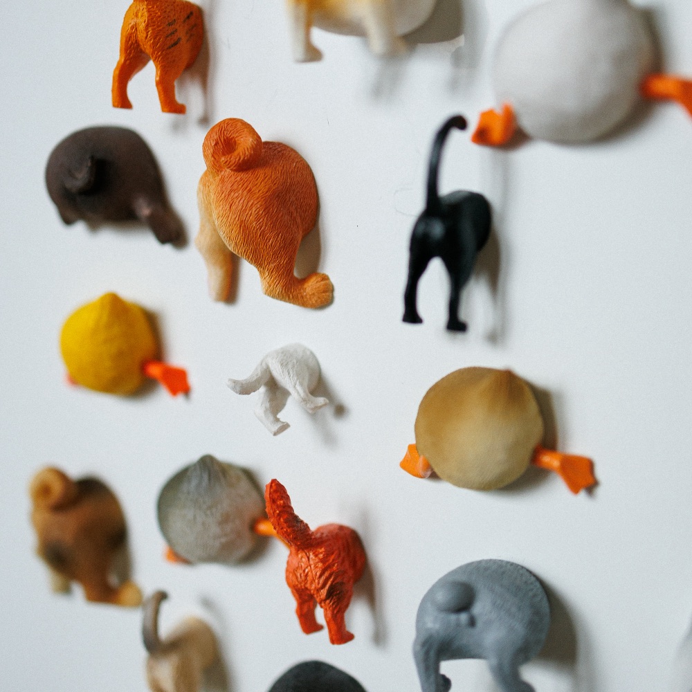 Набор магнитов утки (попы) - фото 21