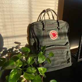 Рюкзак Fjallraven Kanken Forest Green (660)