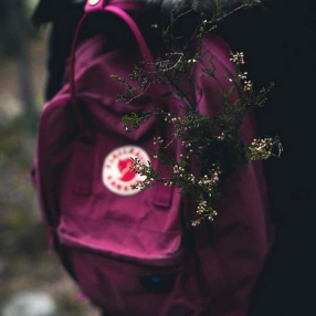 Рюкзак Fjallraven Kanken Plum (420)